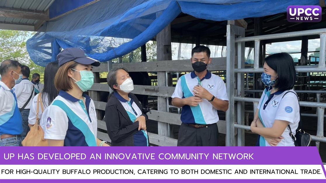 UP has developed an innovative community network for high-quality buffalo production, catering to both domestic and international trade.